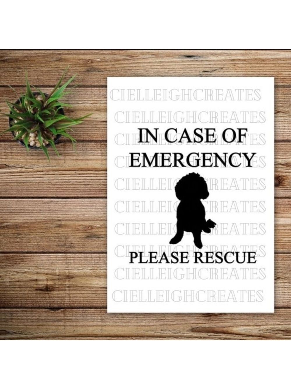 *2 for $20* In Case of Emergency Please Rescue Doodle vinyl decal Handcrafted